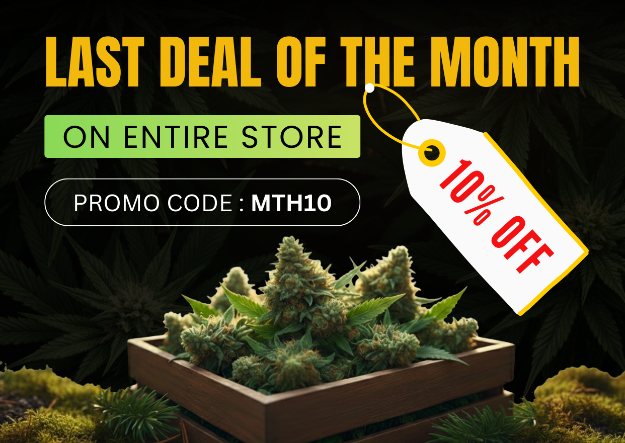 Home 6 Website Banner 12