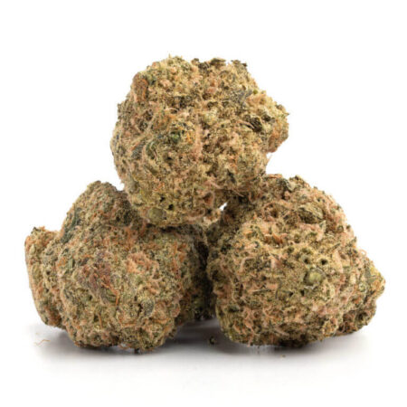 Golden Goat 7 768x768 1
