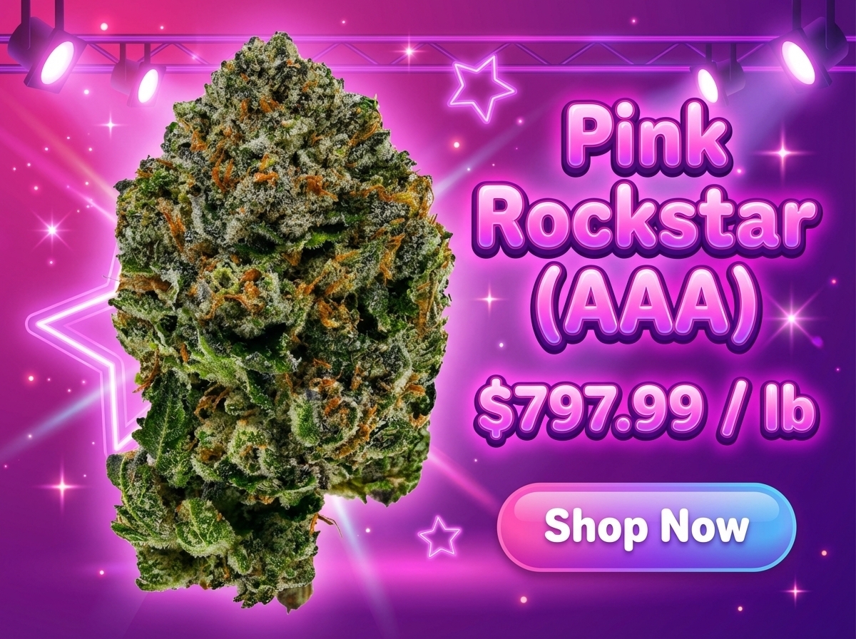 Pink Rockstar AAA
