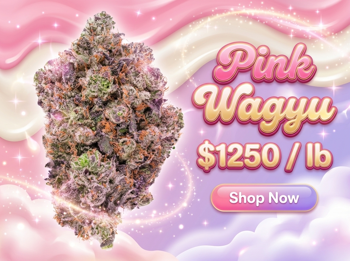 Pink Wagyu
