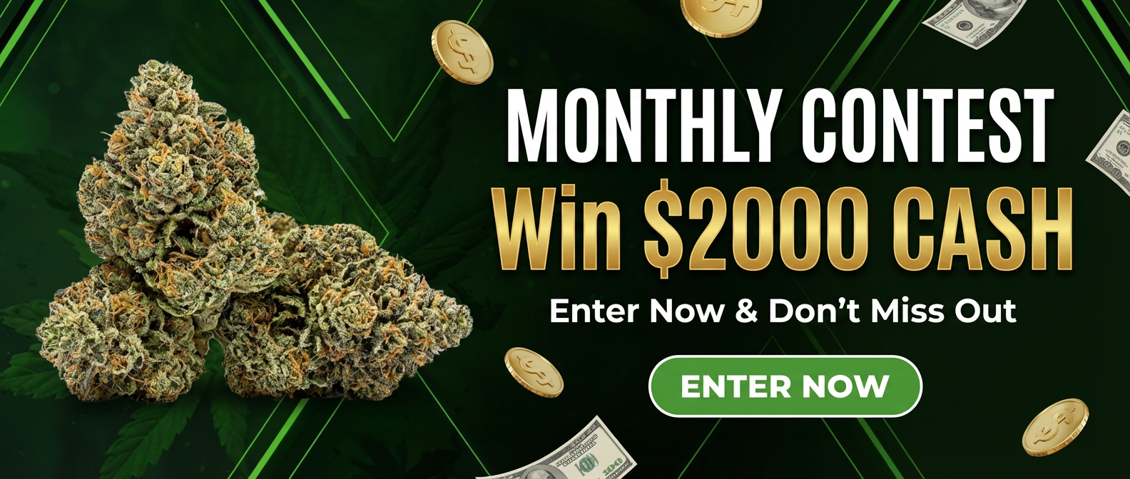 added all these banners as reference ple SmGR8r2HR42Tp7 N1UJ4GQ v2ZESjytT4iw1uUXt0ve7A cover hd