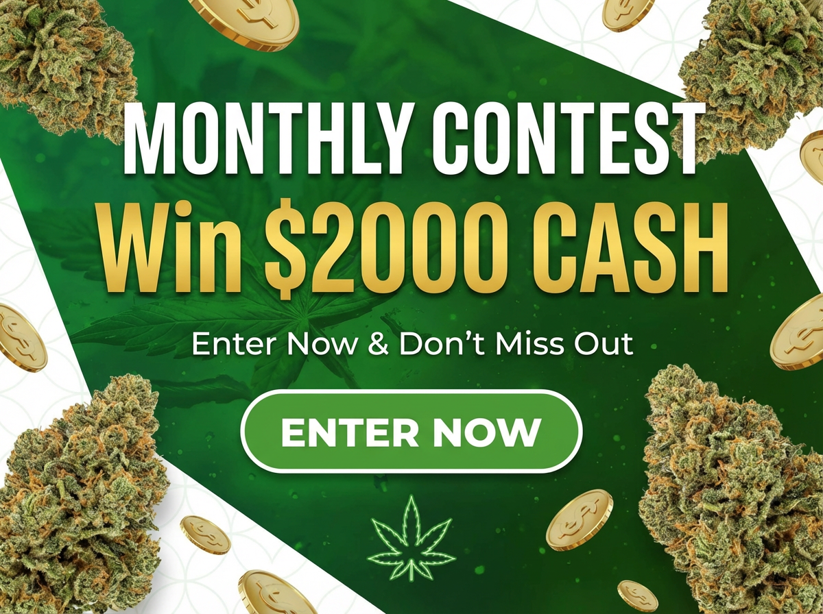 added all these banners as reference ple bZRt7a3NT1 UyDFcgXGZ