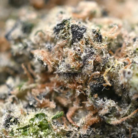Cap Junky Strain