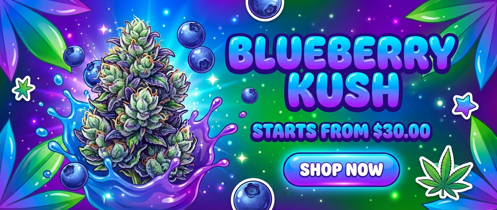 create a 4 3 vibrant ecommerce promotion G541PrC3TjKbKXsrrG8jow LpulGmn7S2Co4MgE2pAw6Q cover hd