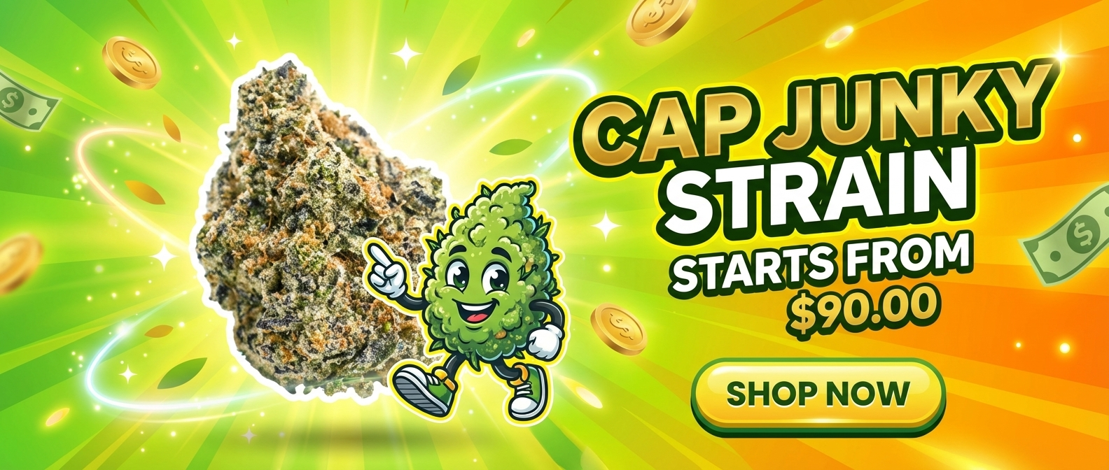 create a 4 3 vibrant ecommerce promotion YzsOylsCSLijh Rtd I6YQ 0tZl4ZKTRwKNfXjseMYXEQ cover hd