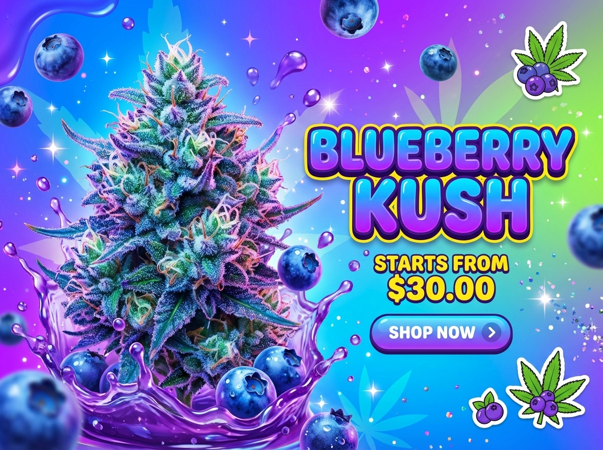 create a 4 3 vibrant ecommerce promotion f6UBaNj9S6SopP7er9757A l8B0OCcoQpGQkCF4t7nuzw cover hd