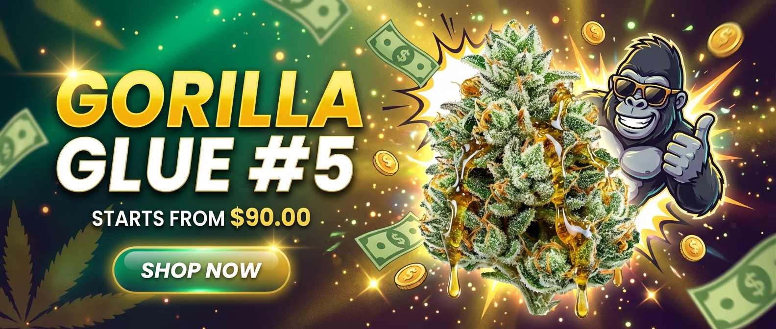 create a 4 3 vibrant ecommerce promotion tIEfjv0ISWaUhlh0j2OGcQ X0DlHVzWTjSzF2l UBBH5A cover hd