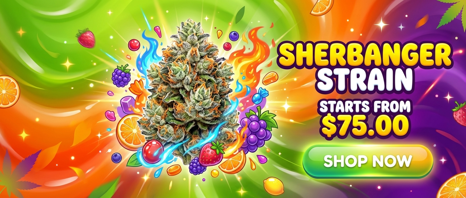 create a vibrant ecommerce promotional