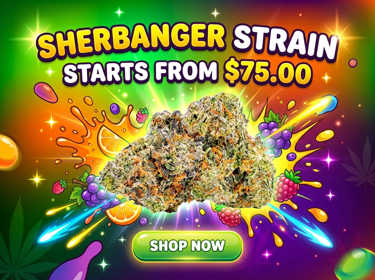 create a vibrant ecommerce promotional b ulJ4 XaUQ2idAlOZaojq w FCW4kZYKSEu1zT7ZlEgu7w cover hd