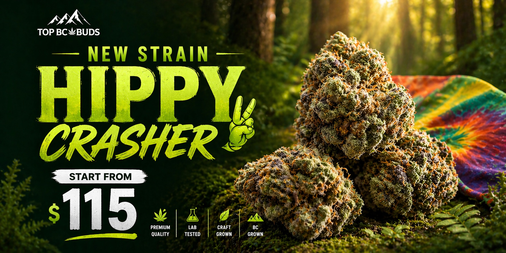 hippy crasher banner 2