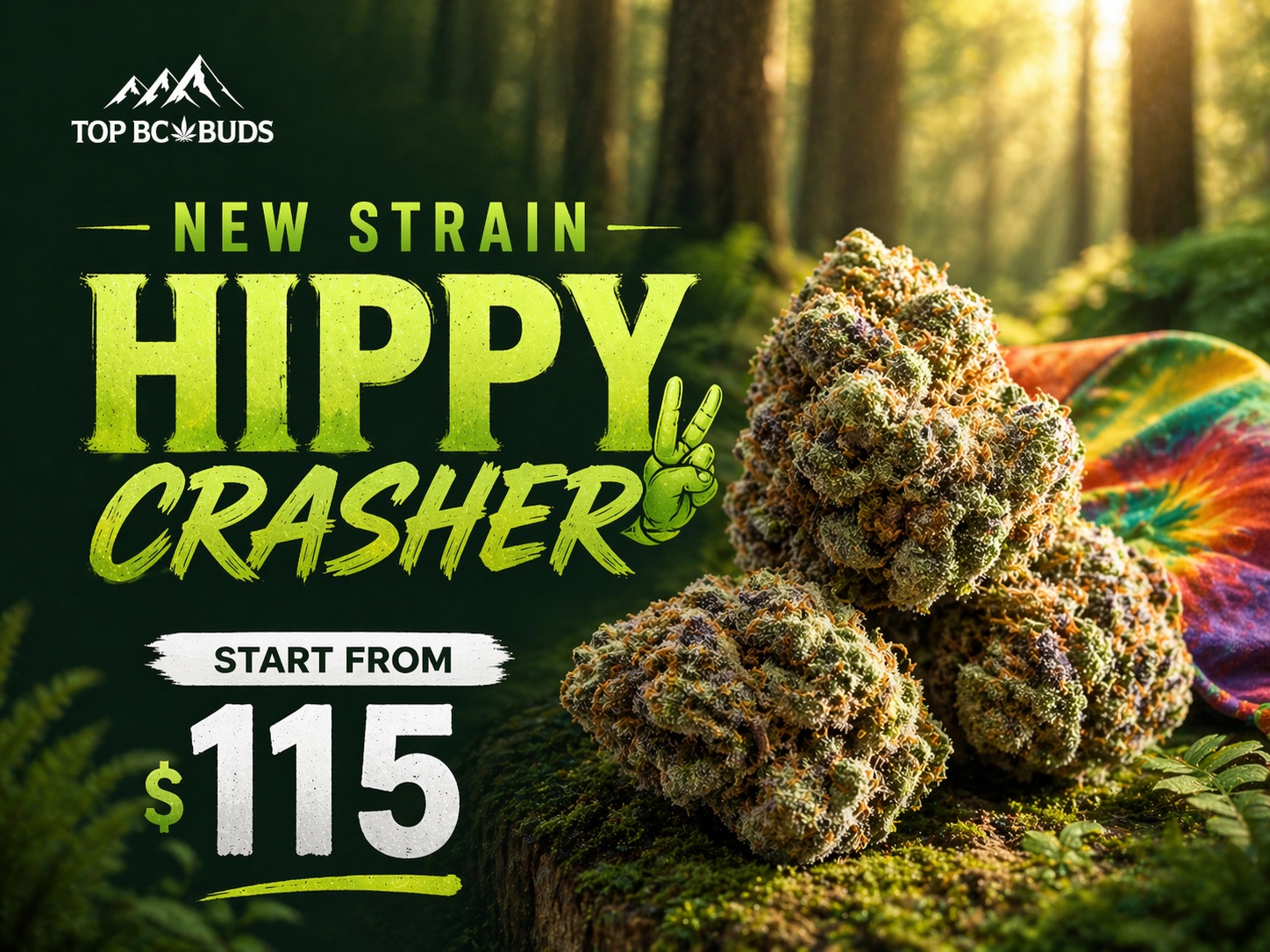 hippy crasher banner