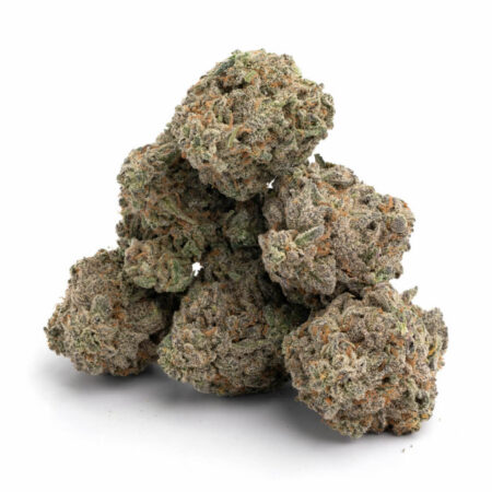 Animal Mints 5 Animal Mints 11 1024x1024 1