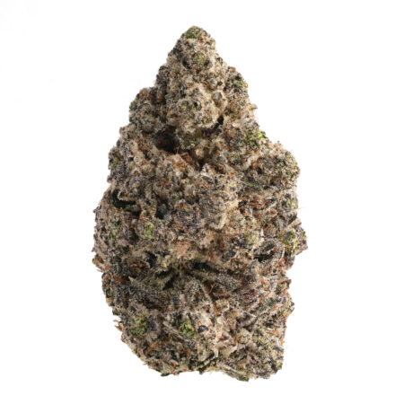 Home 60 Gorilla Cookies