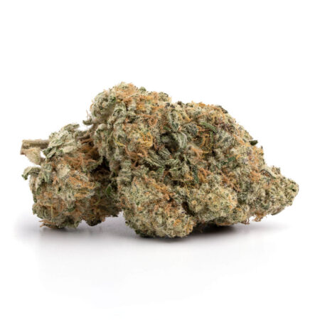Home 37 Jack Herer
