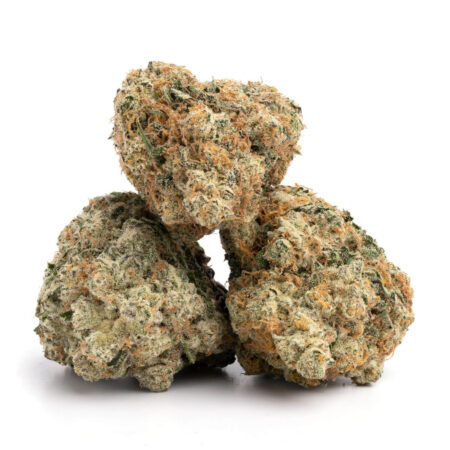 Jack Herer 5 jack herer 3