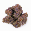 Purple Urkle