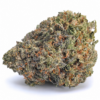 sensi star