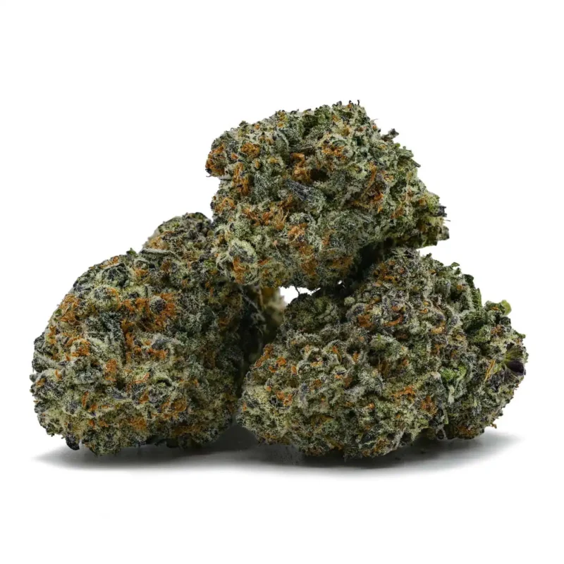 Blissful Wizard 2 blissful 2 800x800 1