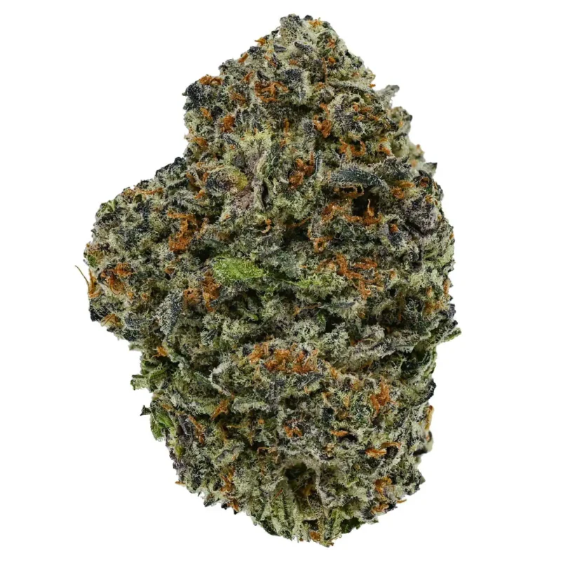 Blissful Wizard 1 blissful 800x800 1
