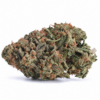 Hash Plant Strain